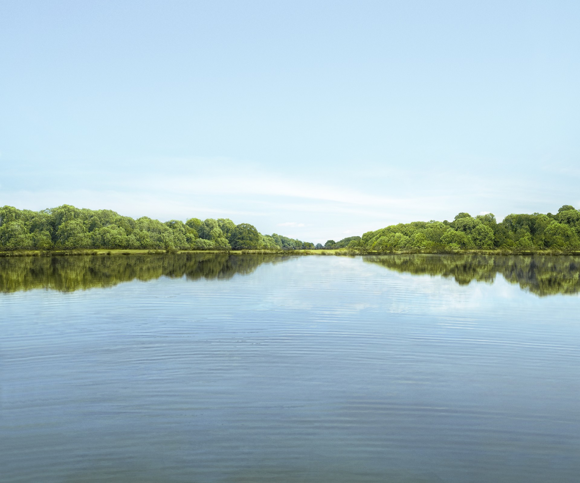 View from the water on a tree-covered bank	